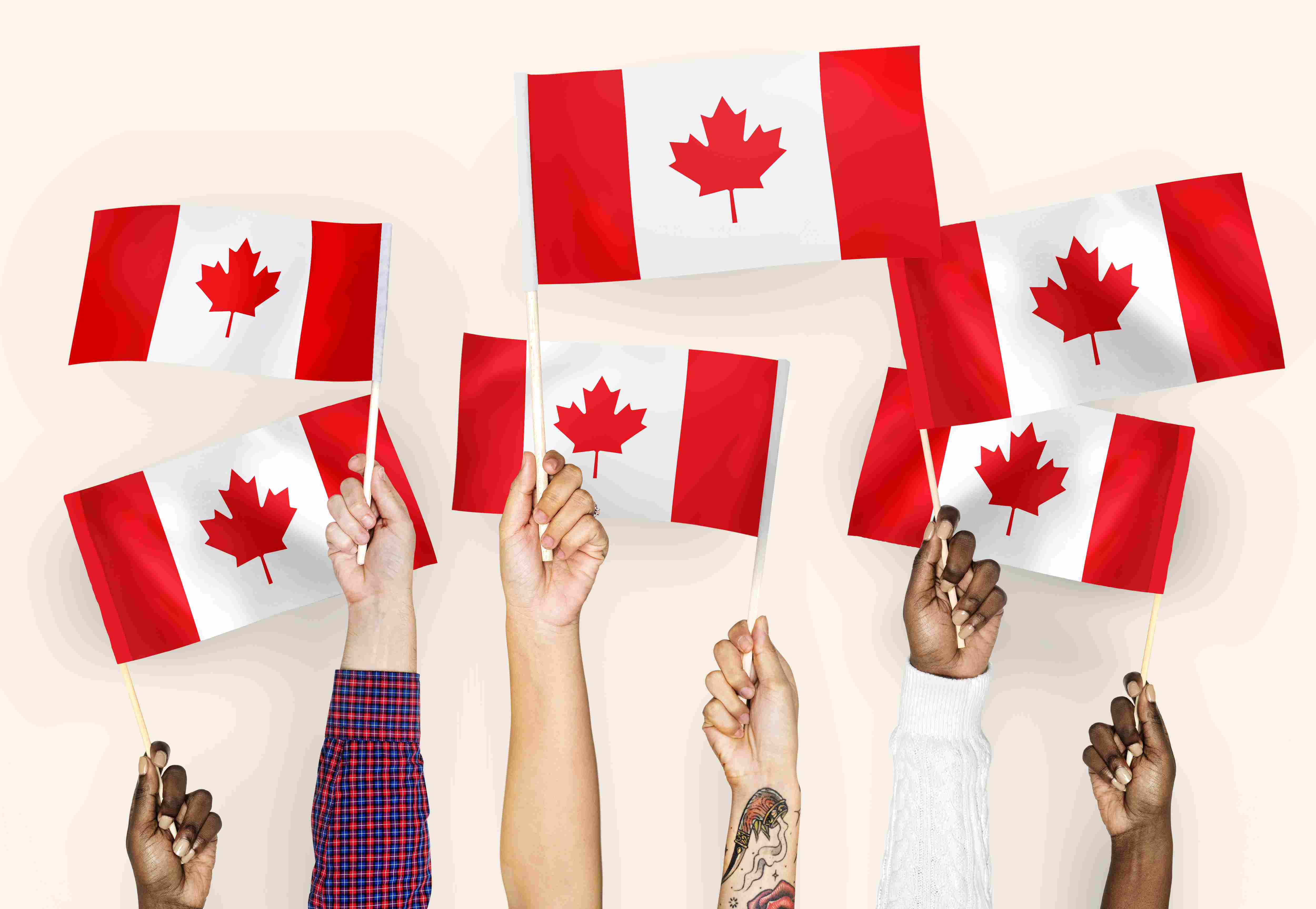 Kanada Dil Okulları ve Yurt Dışı Eğitimi