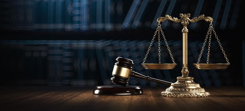 Göç ve İdari Süreç Danışmanlığı